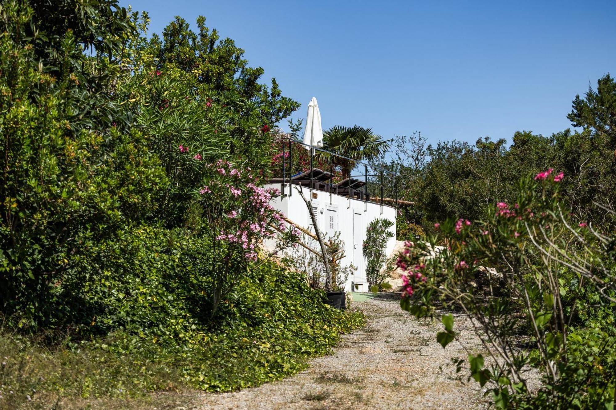 Charming Villa With Pool, Can Toni Mateu. Làng Sant Carles de Paralta Ngoại thất bức ảnh